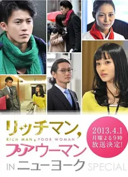 有钱男与贫穷女：纽约篇 リッチマン、プアウーマン in ニューヨーク