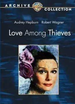 窃贼之爱 Love Among Thieves